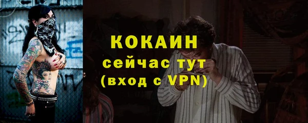 эйфоретик Горняк