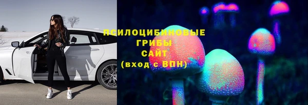 спиды Вязьма