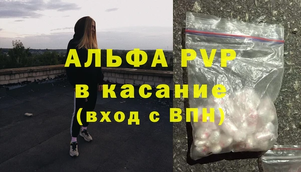эйфоретик Горняк